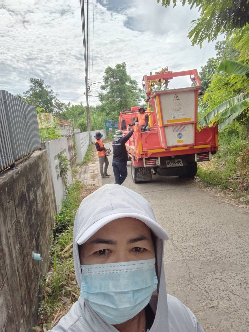 ตัดกิ่งไม้ที่ระสายไฟ 